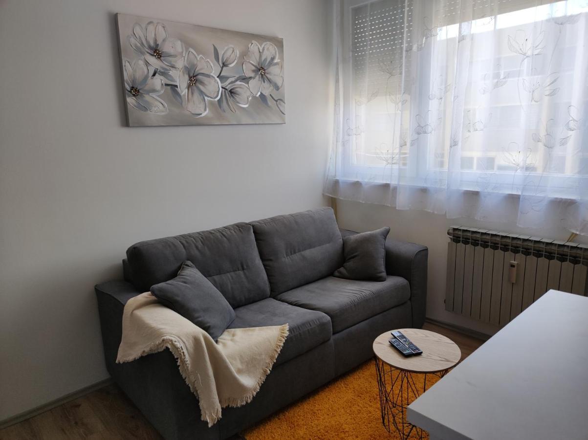 Apartman Emy كارلوفاتش المظهر الخارجي الصورة