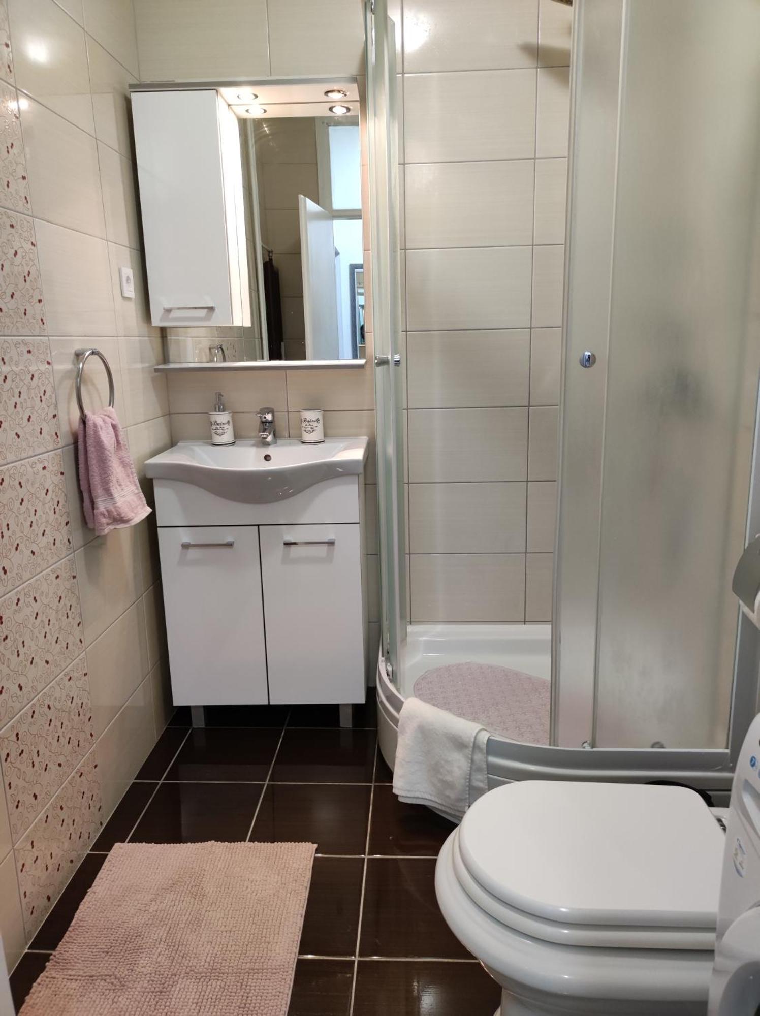 Apartman Emy كارلوفاتش المظهر الخارجي الصورة